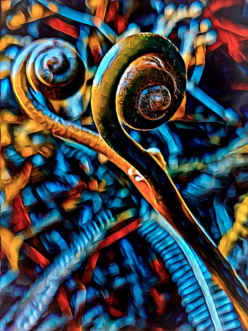 Fallopian