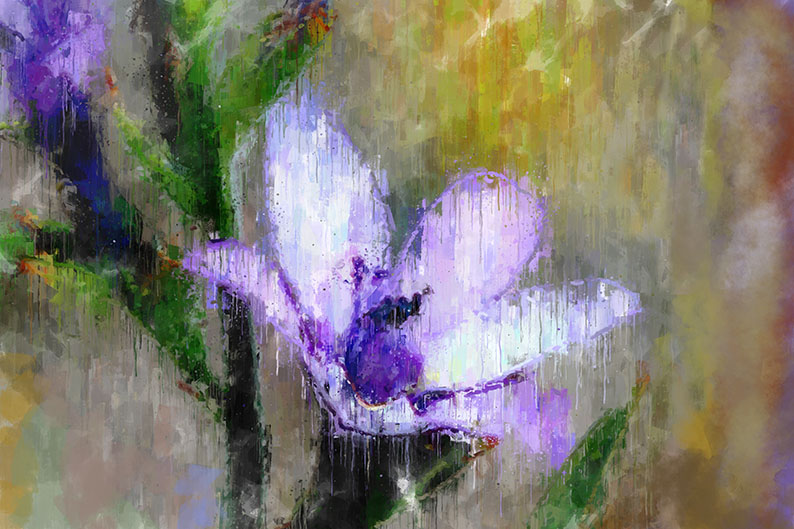 Impressive Lilac