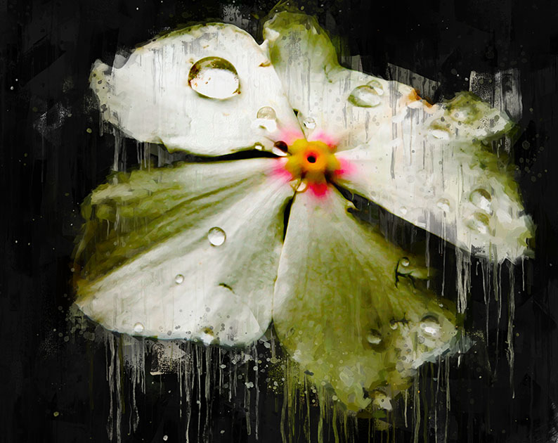 La Petite Fleur