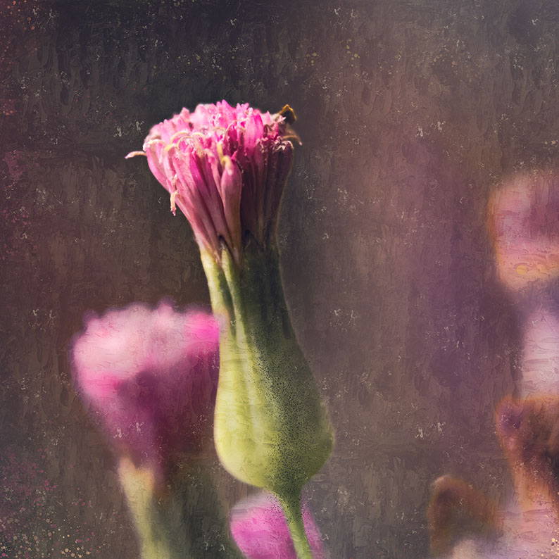 Pollen